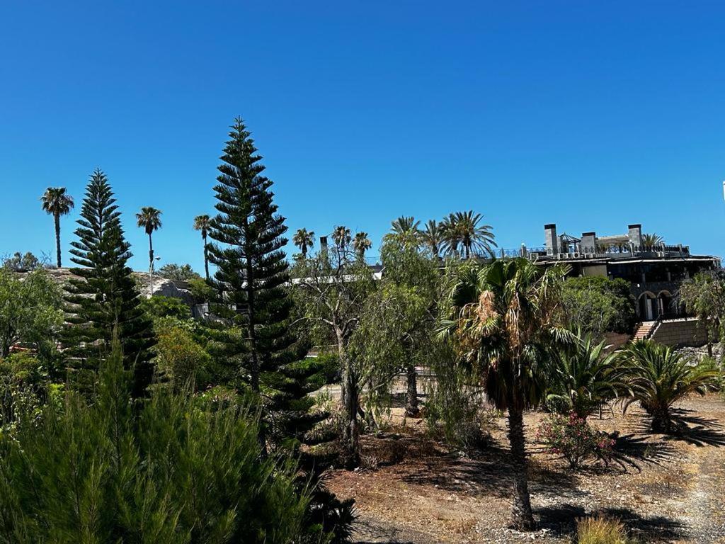 Villa Natali ,Luxury 3-Levels Large Villa On Tenerife, Ocean View, Private Poo L& Barbecue Area Адехе Экстерьер фото
